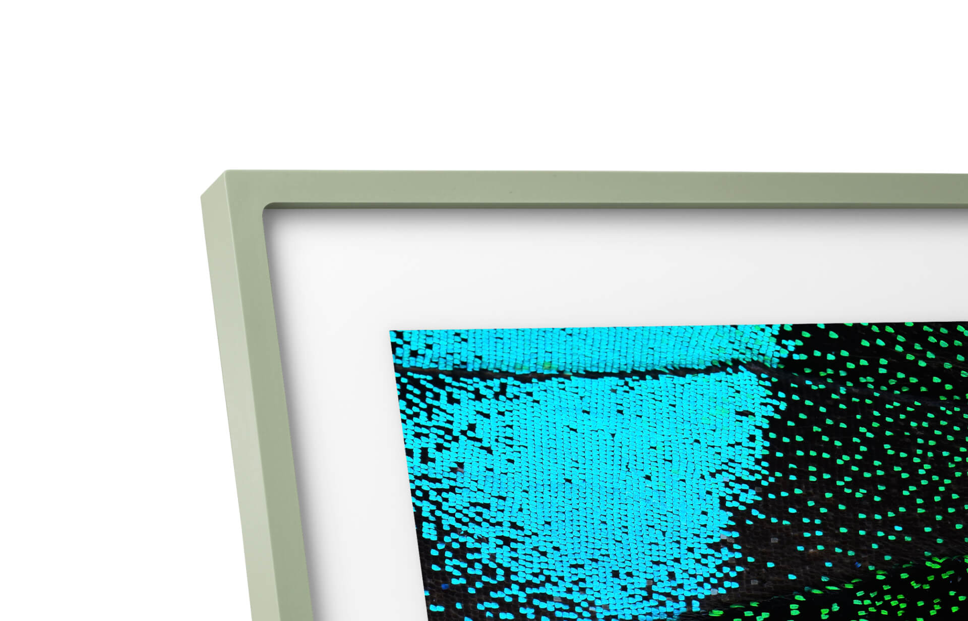 Skylight Frame 2 | Digital Picture Frame - Image 4