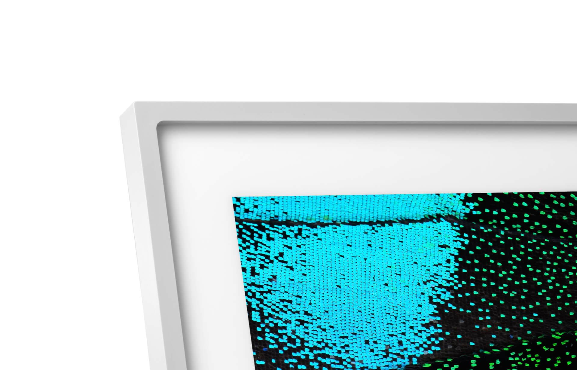 Skylight Frame 2 | Digital Picture Frame - Image 4