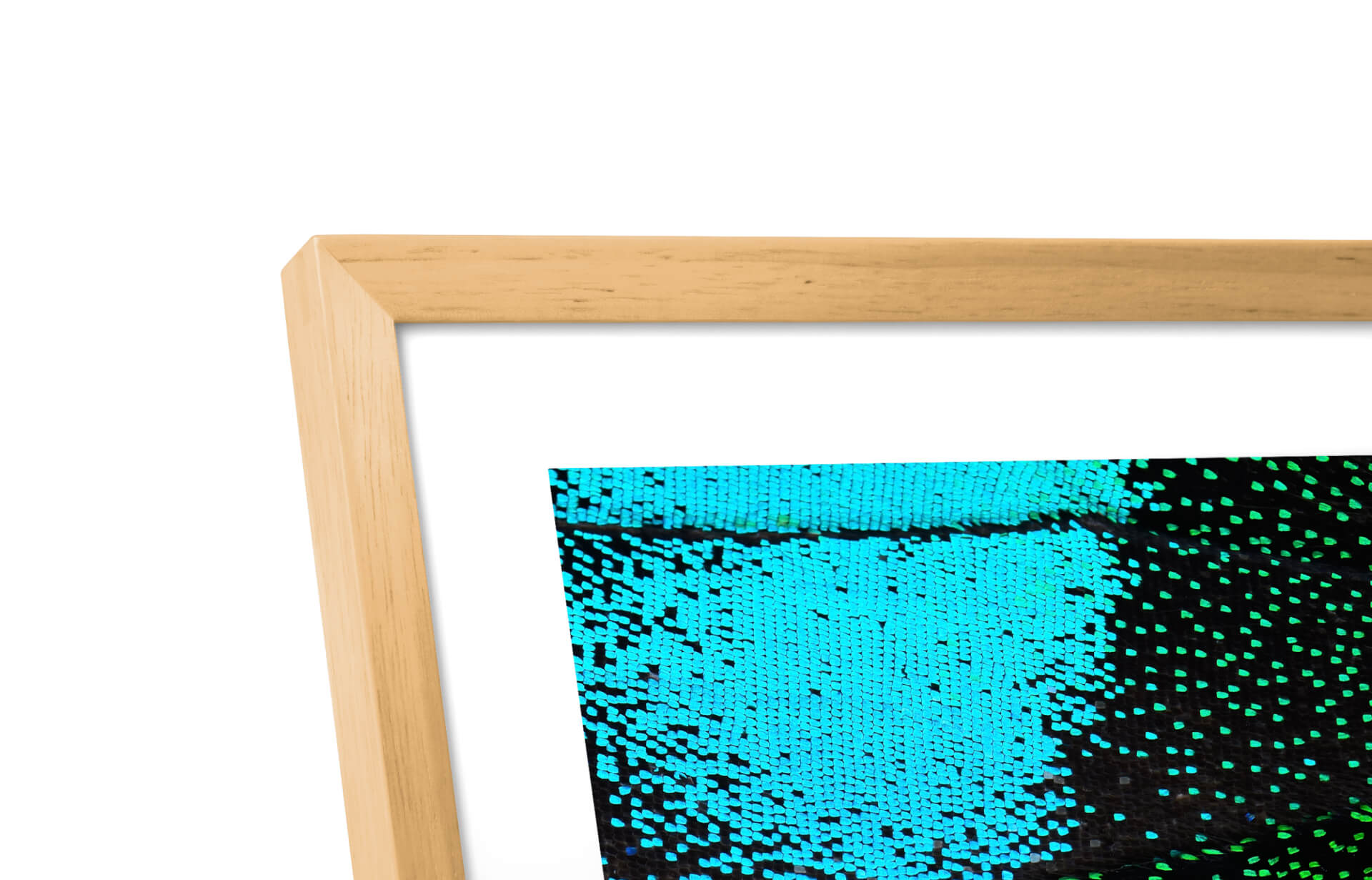 Skylight Frame 2 | Digital Picture Frame - Image 4