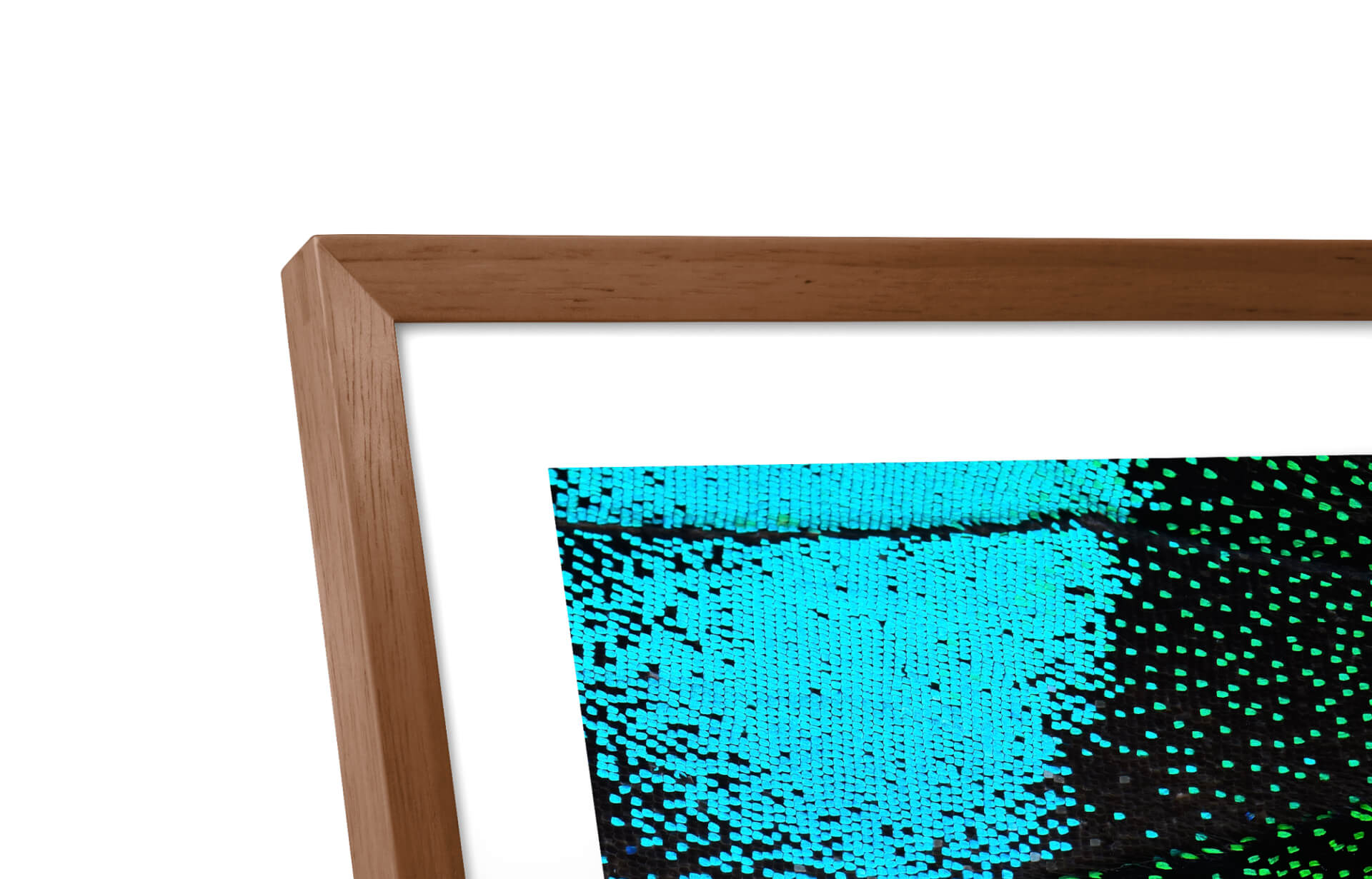 Skylight Frame 2 | Digital Picture Frame - Image 4